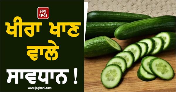 cucumber eaters beware