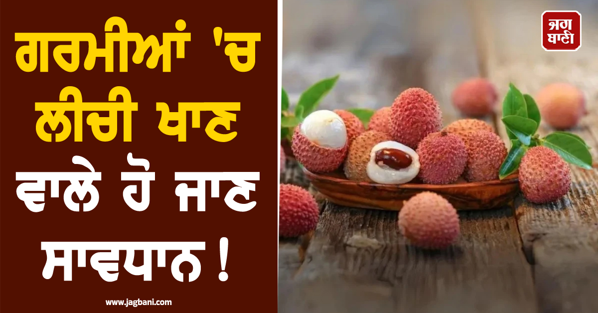 ਗਰਮੀਆਂ 'ਚ ਲੀਚੀ ਖਾਣ ਵਾਲੇ ਹੋ ਜਾਣ ਸਾਵਧਾਨ! ਜ਼ਿਆਦਾ ਸੇਵਨ ਨਾਲ ਹੋ ਸਕਦੇ ਹਨ ਇਹ ਵੱਡੇ ਨੁਕਸਾਨ