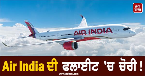 air india flight passenger luggage theft