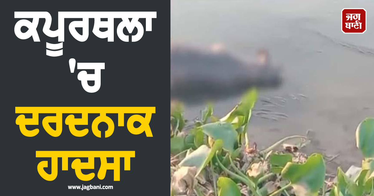ਕਪੂਰਥਲਾ 'ਚ ਦਰਦਨਾਕ ਹਾਦਸਾ, ਵੇਈਂ ਨਦੀ 'ਚ ਡੁੱਬਣ ਨਾਲ 16 ਮੱਝਾਂ ਦੀ ਮੌਤ