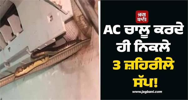 snake in air conditioner