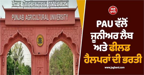 punjab agricultural university  recruitment  job