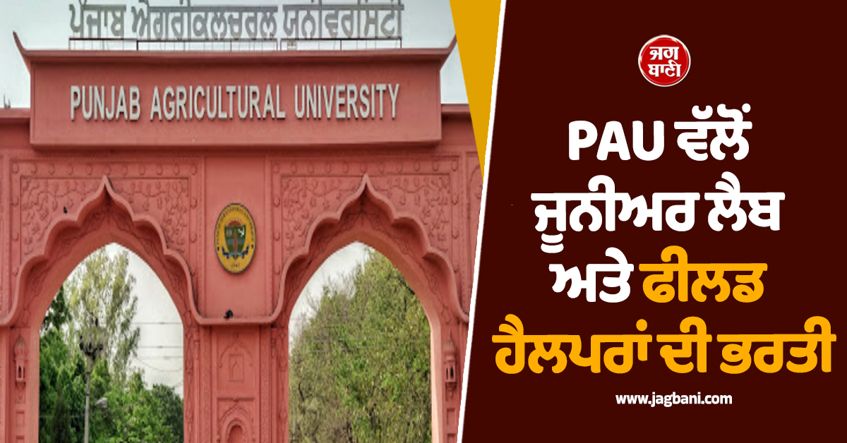 PAU ਵੱਲੋਂ ਜੂਨੀਅਰ ਲੈਬ ਅਤੇ ਫੀਲਡ ਹੈਲਪਰਾਂ ਦੀ ਭਰਤੀ, 8ਵੀਂ ਪਾਸ ਵੀ ਕਰ ਸਕਦੇ ਹਨ ਅਪਲਾਈ
