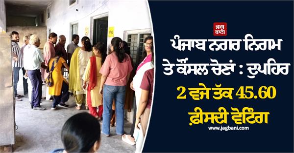 punjab know what percentage of votes have been cast in which district so far