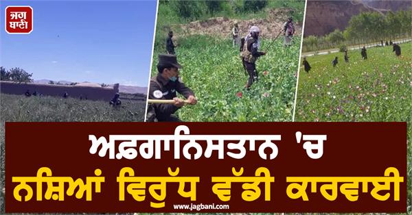poppy farms