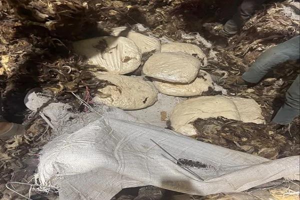 ncb  india  jihadi drugs  syrian citizen  arrested