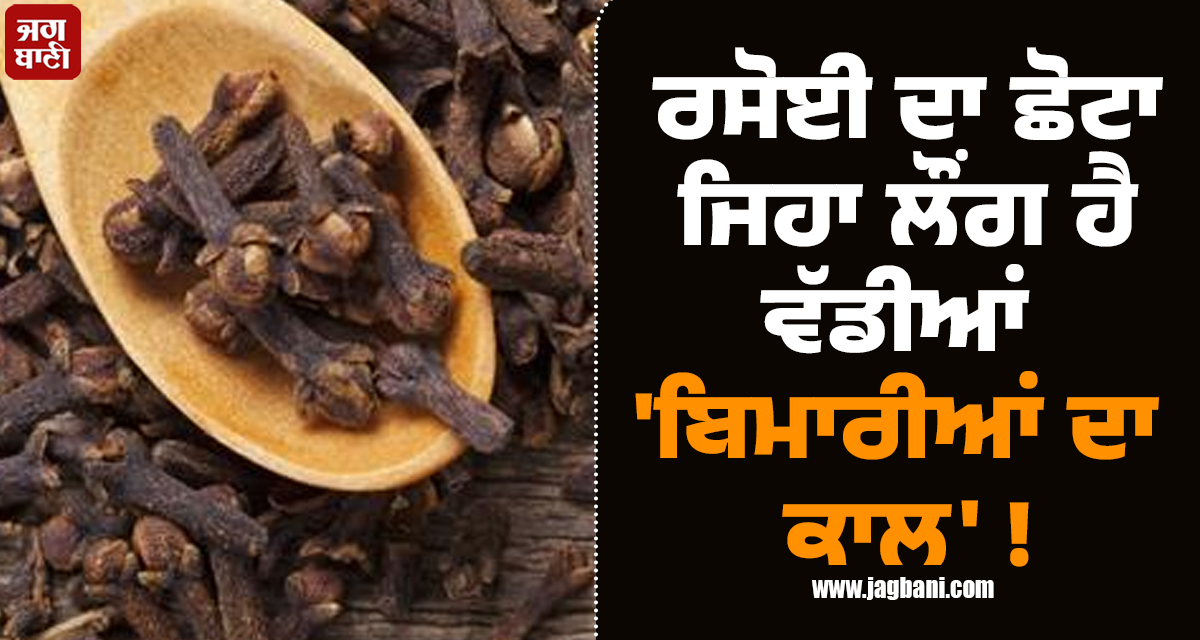 ਰਸੋਈ ਦਾ ਛੋਟਾ ਜਿਹਾ ਲੌਂਗ ਹੈ ਵੱਡੀਆਂ ''ਬਿਮਾਰੀਆਂ ਦਾ ਕਾਲ'' ! ਜਾਣੋ ਇਸ ਦੇ 5 ਬੇਮਿਸਾਲ ਫਾਇਦੇ