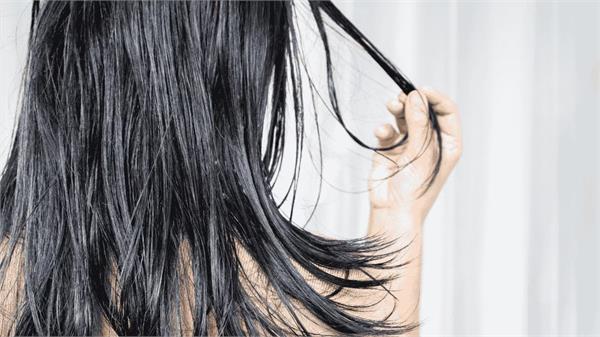 if you are bothered by oily hair in summer  then do this 