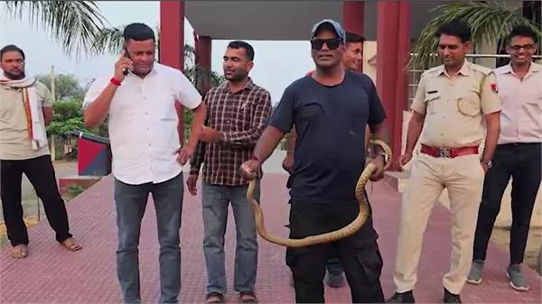 snake escapes from police station
