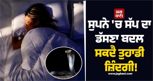 a snake bite in a dream can change your life 