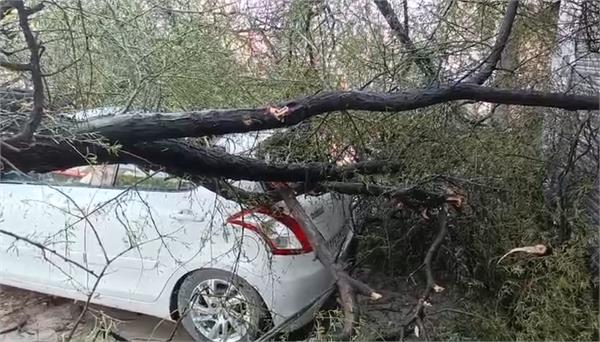 storm in punjab rain
