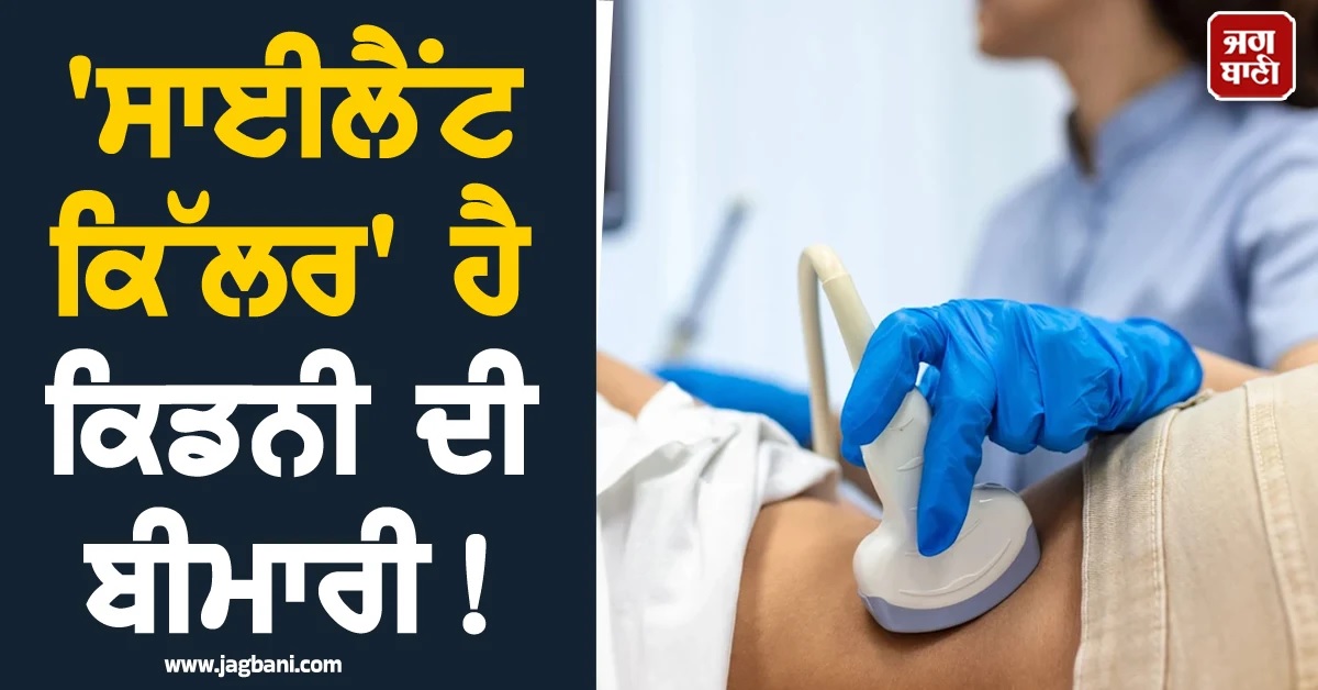 'ਸਾਈਲੈਂਟ ਕਿੱਲਰ' ਹੈ ਕਿਡਨੀ ਦੀ ਬੀਮਾਰੀ! ਸਿਰਫ ਪੈਰਾਂ ਦੀ ਸੋਜ ਹੀ ਨਹੀਂ ਇਸ ਦਾ ਲੱਛਣ ਬਲਕਿ...