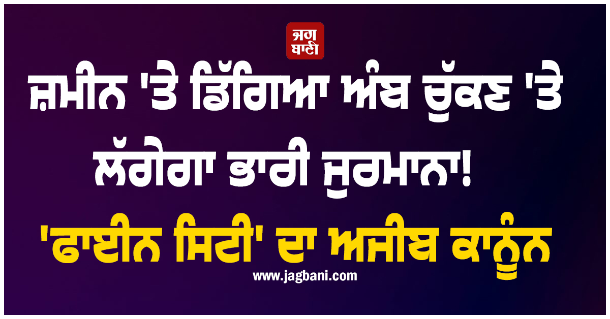 ਜ਼ਮੀਨ 'ਤੇ ਡਿੱਗਿਆ ਅੰਬ ਚੁੱਕਣ 'ਤੇ ਲੱਗੇਗਾ ਭਾਰੀ ਜੁਰਮਾਨਾ!  'ਫਾਈਨ ਸਿਟੀ' ਦਾ ਅਜੀਬ ਕਾਨੂੰਨ