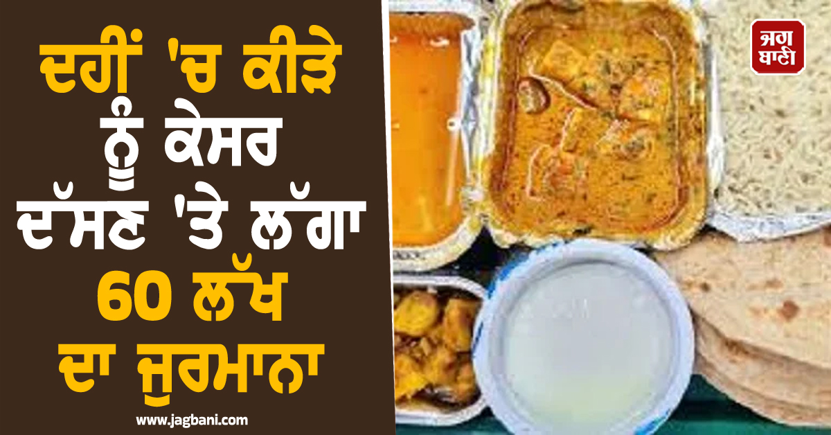 ਦਹੀਂ 'ਚ ਕੀੜੇ ਨੂੰ ਕੇਸਰ ਦੱਸਣ ਵਾਲੇ Food Manager 'ਤੇ ਲੱਗਾ 60 ਲੱਖ ਦਾ ਜੁਰਮਾਨਾ, ਜਾਣੋ ਪੂਰਾ ਮਾਮਲਾ