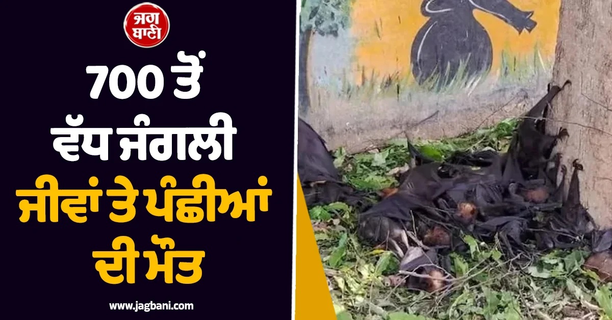 700 ਤੋਂ ਵੱਧ ਜੰਗਲੀ ਜੀਵਾਂ ਤੇ ਪੰਛੀਆਂ ਦੀ ਮੌਤ! ਮਾਹਰਾਂ ਨੇ ਐਲਾਨੀ Ecological Emergency