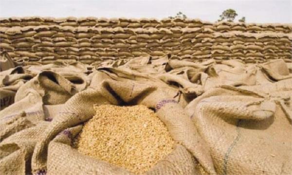 flour crisis in punjab