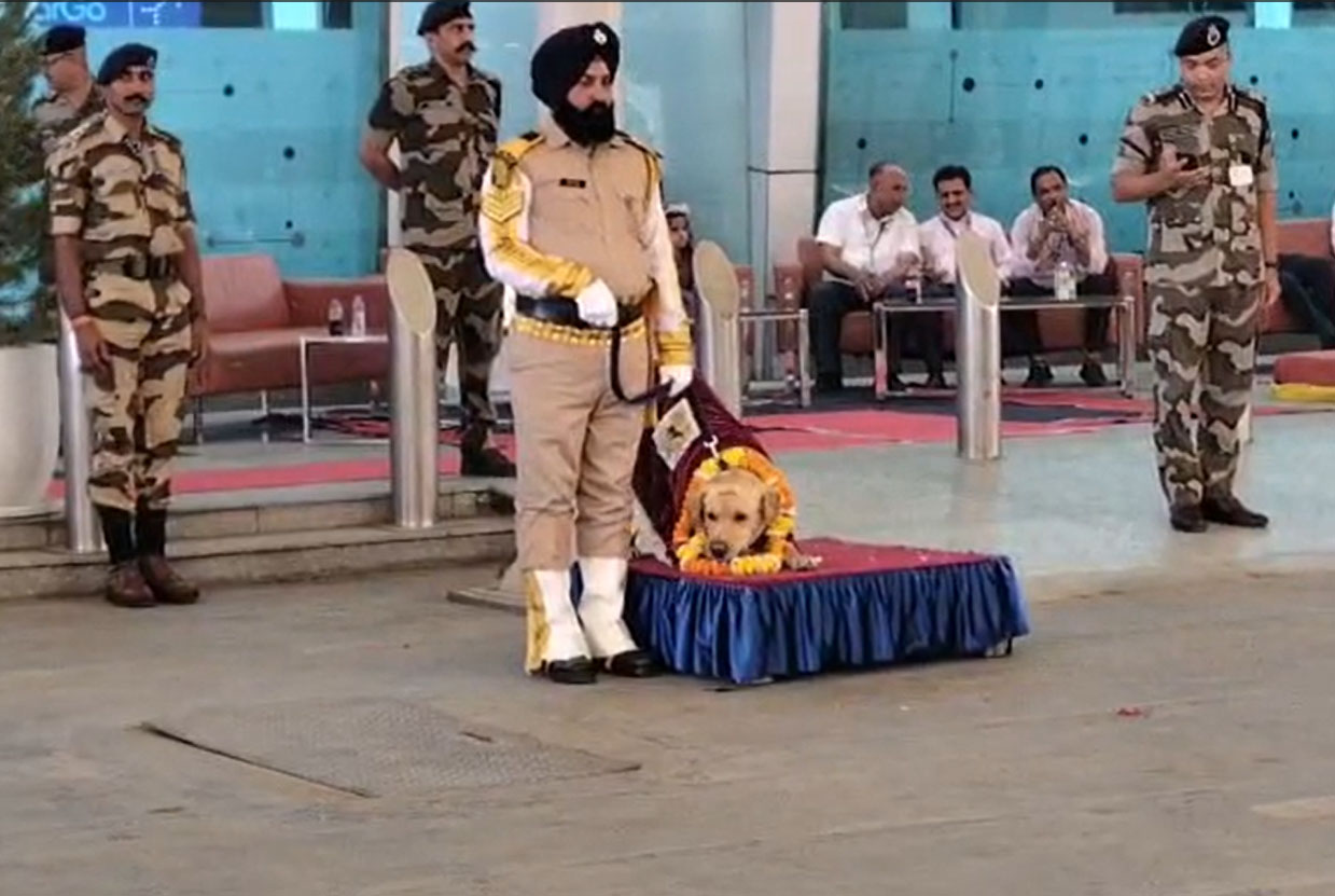 ਅੰਮ੍ਰਿਤਸਰ Airport 'ਤੇ Dog Max ਦੀ ਆਲੀਸ਼ਾਨ ਰਿਟਾਇਰਮੈਂਟ, ਸਲੂਟ ਮਾਰ ਕੇ ਜਿੱਤਿਆ ਸਭ ਦਾ ਦਿਲ