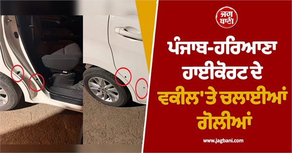 punjab haryana high court lawyer firing