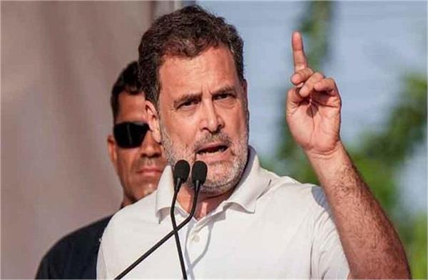 rahul gandhi stresses on organisational reforms and strong grassroots connect