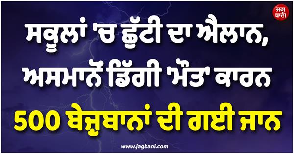 nature s big incident