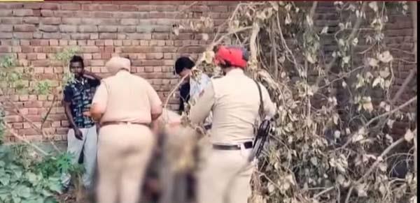 deadbody of a person found in a vacant plot in moga