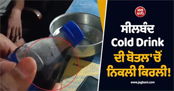 dead lizard found in cold drink