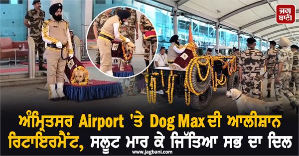 dog max s lavish retirement party at amritsar airport
