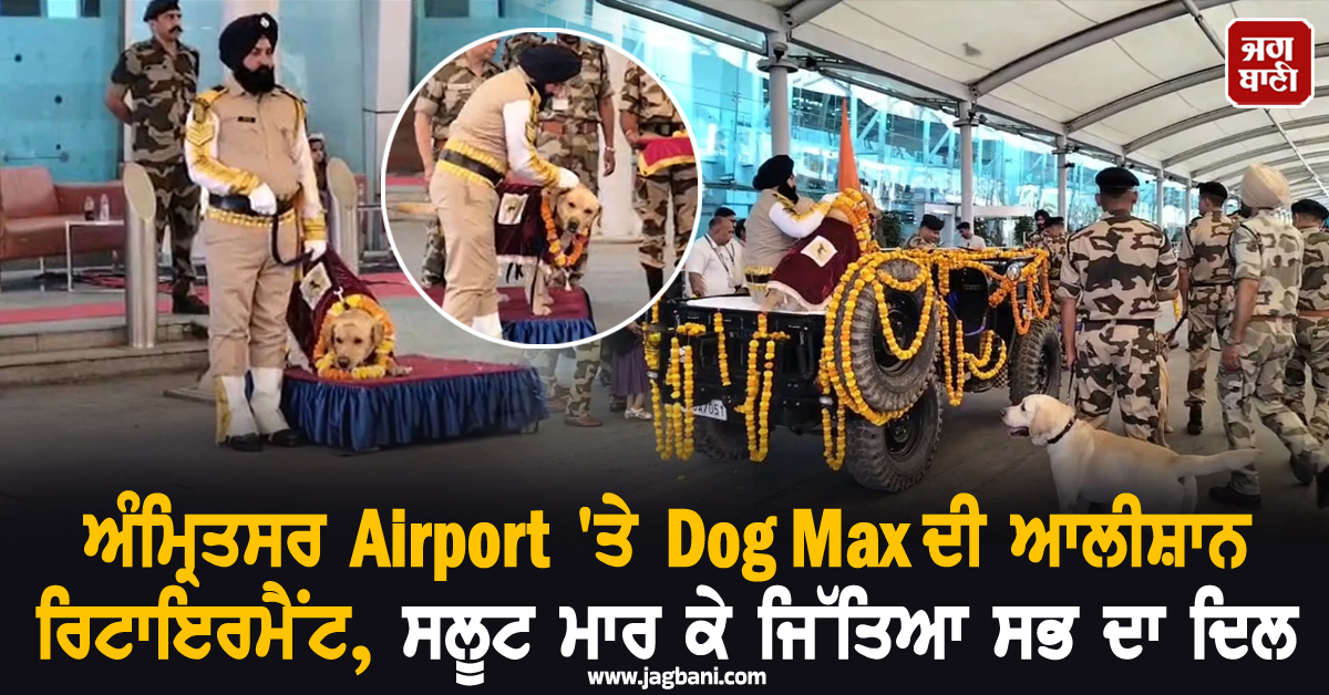 ਅੰਮ੍ਰਿਤਸਰ Airport 'ਤੇ Dog Max ਦੀ ਆਲੀਸ਼ਾਨ ਰਿਟਾਇਰਮੈਂਟ, ਸਲੂਟ ਮਾਰ ਕੇ ਜਿੱਤਿਆ ਸਭ ਦਾ ਦਿਲ