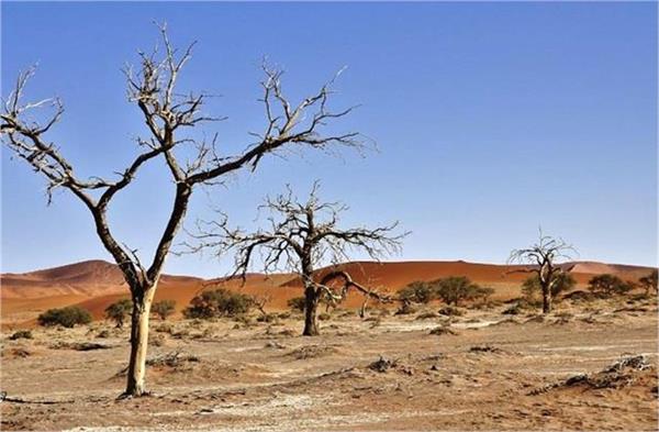 why destroy fertile land