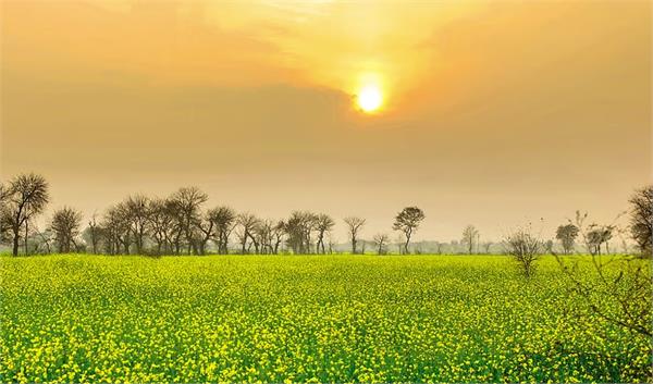 punjab