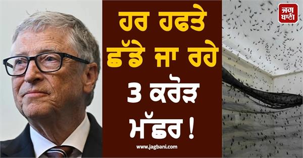 bill gates insect factory releases 30 million mosquitoes