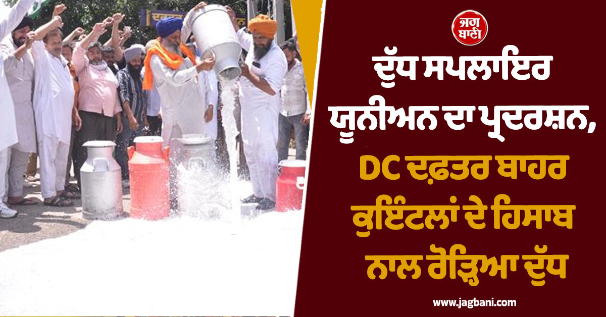 ਦੁੱਧ ਸਪਲਾਇਰ ਯੂਨੀਅਨ ਦਾ ਪ੍ਰਦਰਸ਼ਨ, DC ਦਫ਼ਤਰ ਬਾਹਰ ਕੁਇੰਟਲਾਂ ਦੇ ਹਿਸਾਬ ਨਾਲ ਰੋੜ੍ਹਿਆ ਦੁੱਧ