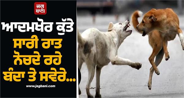 punjab  man eating dogs