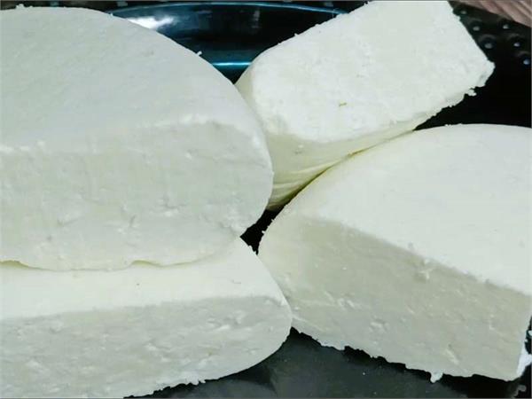 6 samples of milk  paneer and khoya collected in hoshiarpur