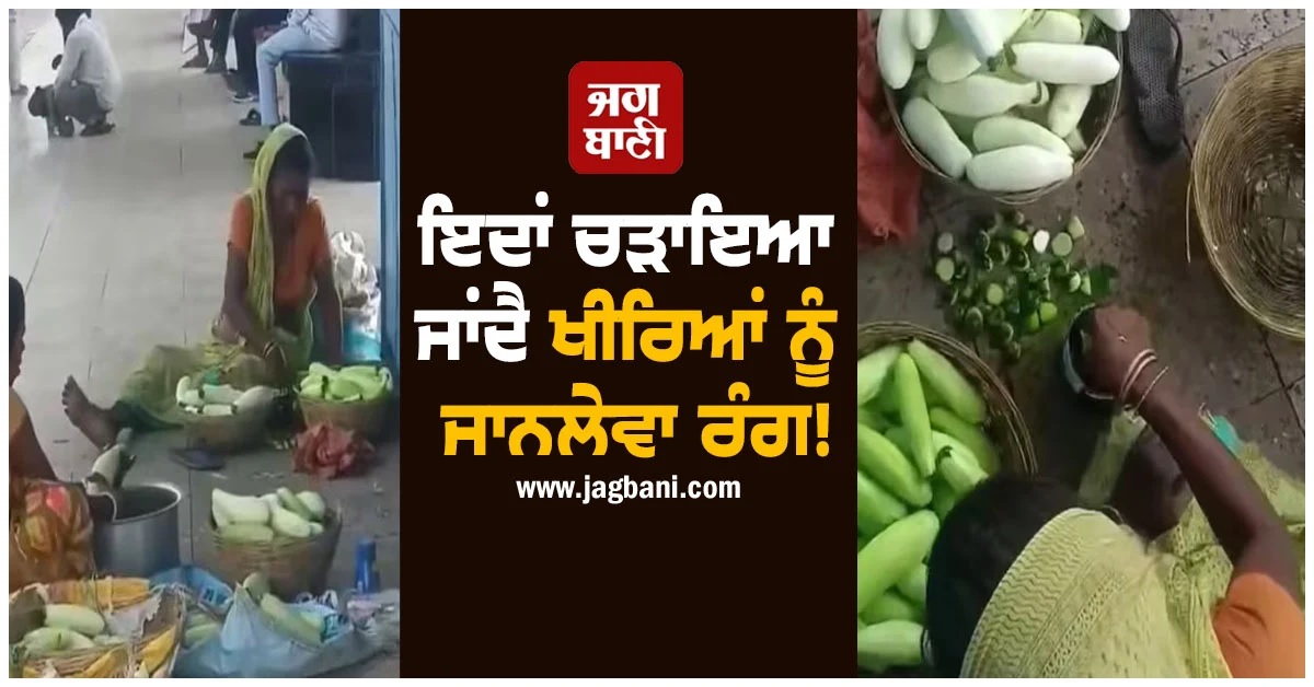ਇਦਾਂ ਚੜਾਇਆ ਜਾਂਦੈ ਖੀਰਿਆਂ ਨੂੰ ਜਾਨਲੇਵਾ ਰੰਗ! ਸੋਸ਼ਲ ਮੀਡੀਆ 'ਤੇ ਵਾਇਰਲ ਹੋਈ ਵੀਡੀਓ