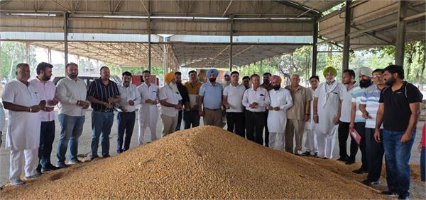 arrival of maize begins in machhiwara grain market