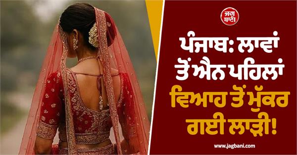 punjab marriage nri