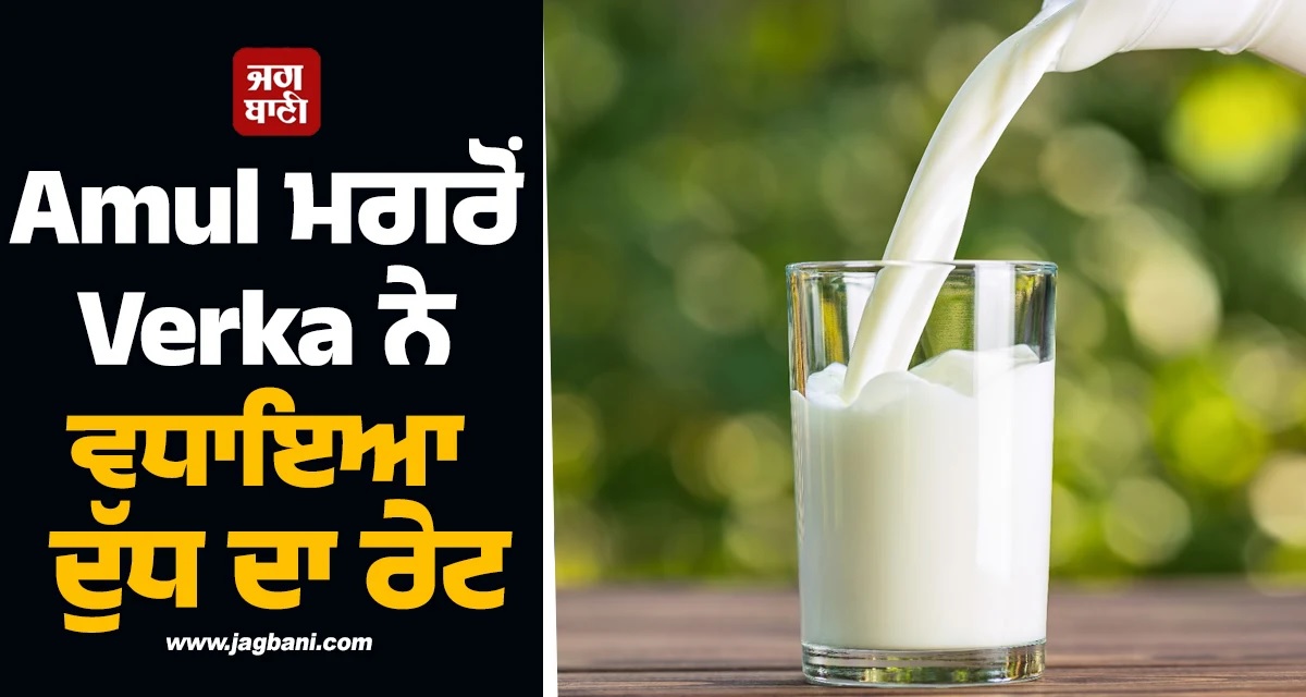 Amul ਮਗਰੋਂ Verka ਨੇ ਵੀ ਵਧਾਇਆ ਦੁੱਧ ਦਾ ਰੇਟ, ਦੇਖੋ ਲਿਸਟ
