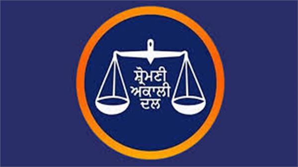 fake comments contract given to gurgaon company  shiromani akali dal
