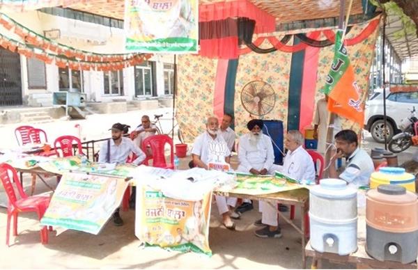 municipal council elections held peacefully in budhlada