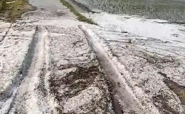 heavy hailstorm wreaks havoc in moga