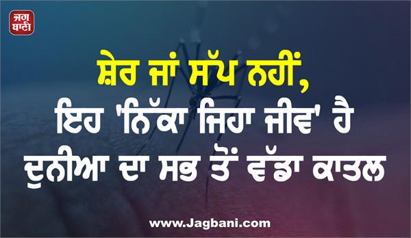 mosquitoes is the world  s biggest killer