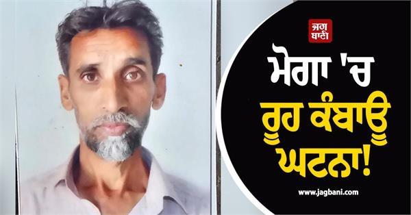 heartbreaking incident in moga stray dogs attack man on way home from fields
