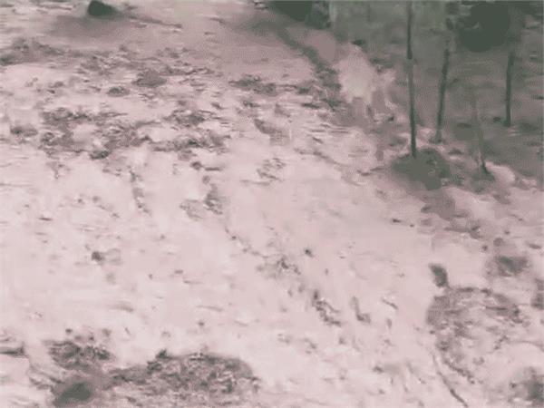 jammu kashmir cloudburst  floods