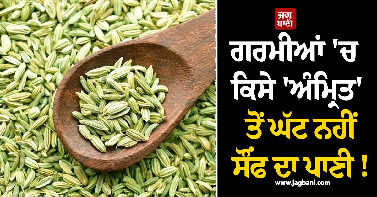 ਗਰਮੀਆਂ 'ਚ ਕਿਸੇ 'ਅੰਮ੍ਰਿਤ' ਤੋਂ ਘੱਟ ਨਹੀਂ ਸੌਂਫ ਦਾ ਪਾਣੀ ! ਜਾਣੋ ਇਸ ਦੇ ਪੀਣ ਦੇ ਹੈਰਾਨੀਜਨਕ ਫਾਇਦੇ