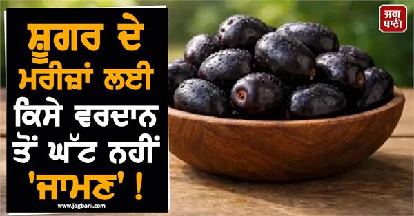 jamun is no less than a boon for diabetic patients 