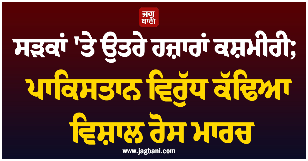 ਲੰਡਨ ਦੀਆਂ ਸੜਕਾਂ 'ਤੇ ਉਤਰੇ ਹਜ਼ਾਰਾਂ ਕਸ਼ਮੀਰੀ; ਪਾਕਿਸਤਾਨ ਵਿਰੁੱਧ ਕੱਢਿਆ ਵਿਸ਼ਾਲ ਰੋਸ ਮਾਰਚ