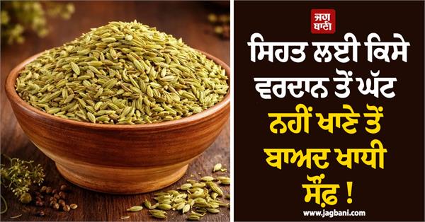 eating fennel after a meal is nothing less than a blessing 