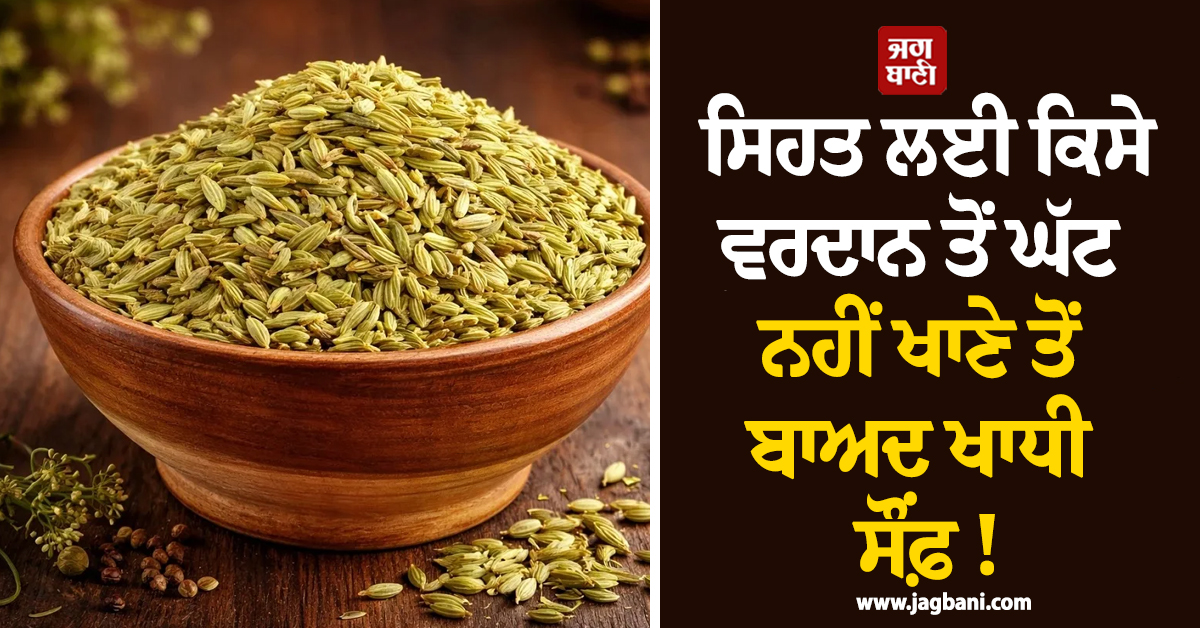ਸਿਹਤ ਲਈ ਕਿਸੇ ਵਰਦਾਨ ਤੋਂ ਘੱਟ ਨਹੀਂ ਖਾਣੇ ਤੋਂ ਬਾਅਦ ਖਾਧੀ ਸੌਂਫ਼ ! ਫਾਇਦੇ ਜਾਣ ਰਹਿ ਜਾਓਗੇ ਹੈਰਾਨ