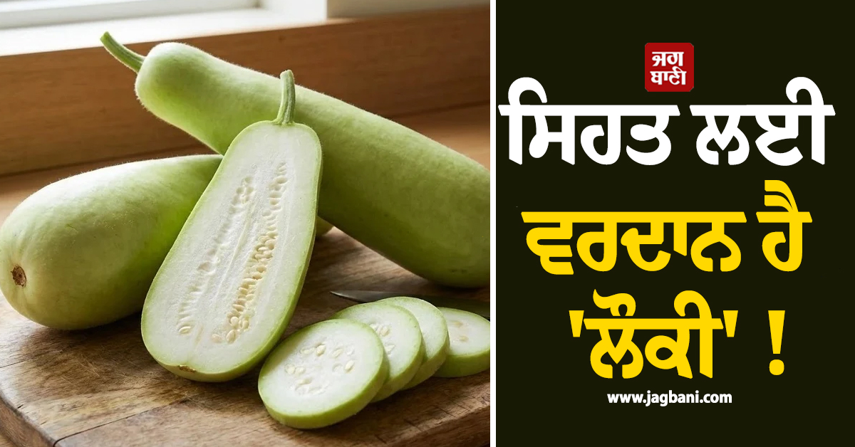 ਸਿਹਤ ਲਈ ਵਰਦਾਨ ਹੈ 'ਲੌਕੀ' ! ਭਾਰ ਘਟਾਉਣ ਤੋਂ ਲੈ ਕੇ ਹਾਰਟ ਤੱਕ ਜਾਣੋ ਇਸ ਦੇ ਹੈਰਾਨੀਜਨਕ ਫਾਇਦੇ